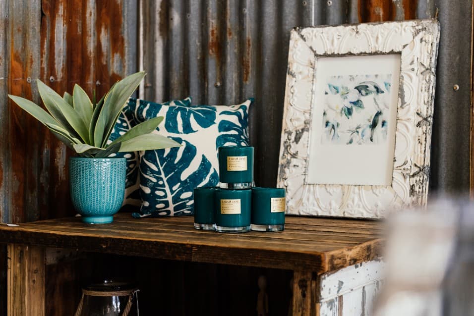 Framed botanical watercolour beside a plant and cushions on a shelf
