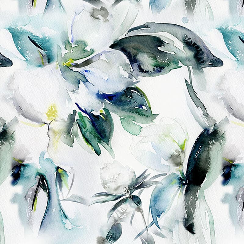 Collection of Magnolias