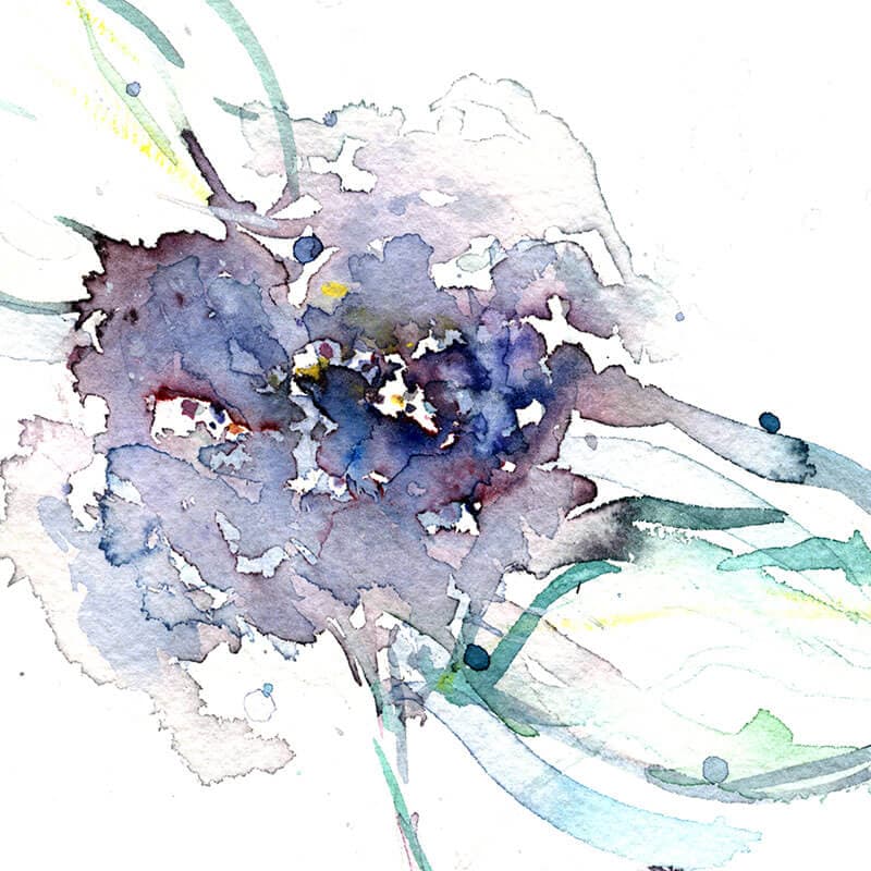 Hydrangea Swish - original sold