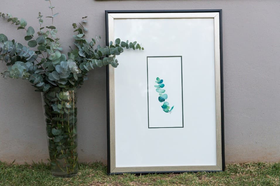 Framed eucalyptus watercolour beside a vase of eucalyptus