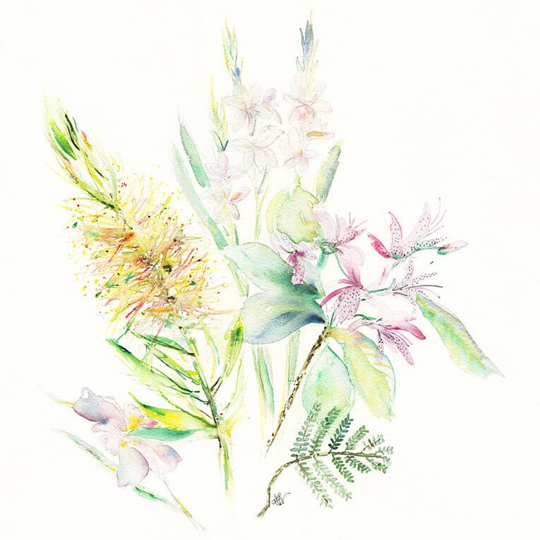 Wildflowers