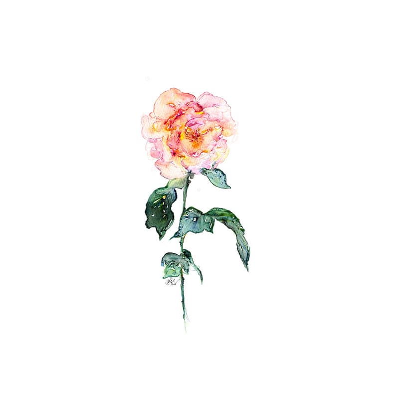 Bright Rose