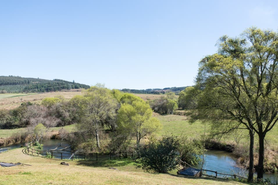 Midlands farm landscape with a dam and trees