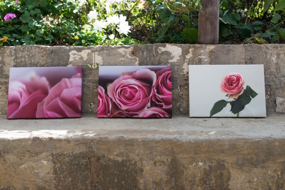 Three rose paintings on a stone wall in a garden