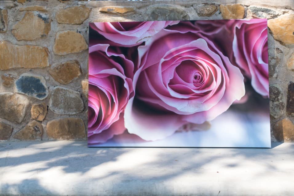 Close-up painting of pink roses against a stone wall