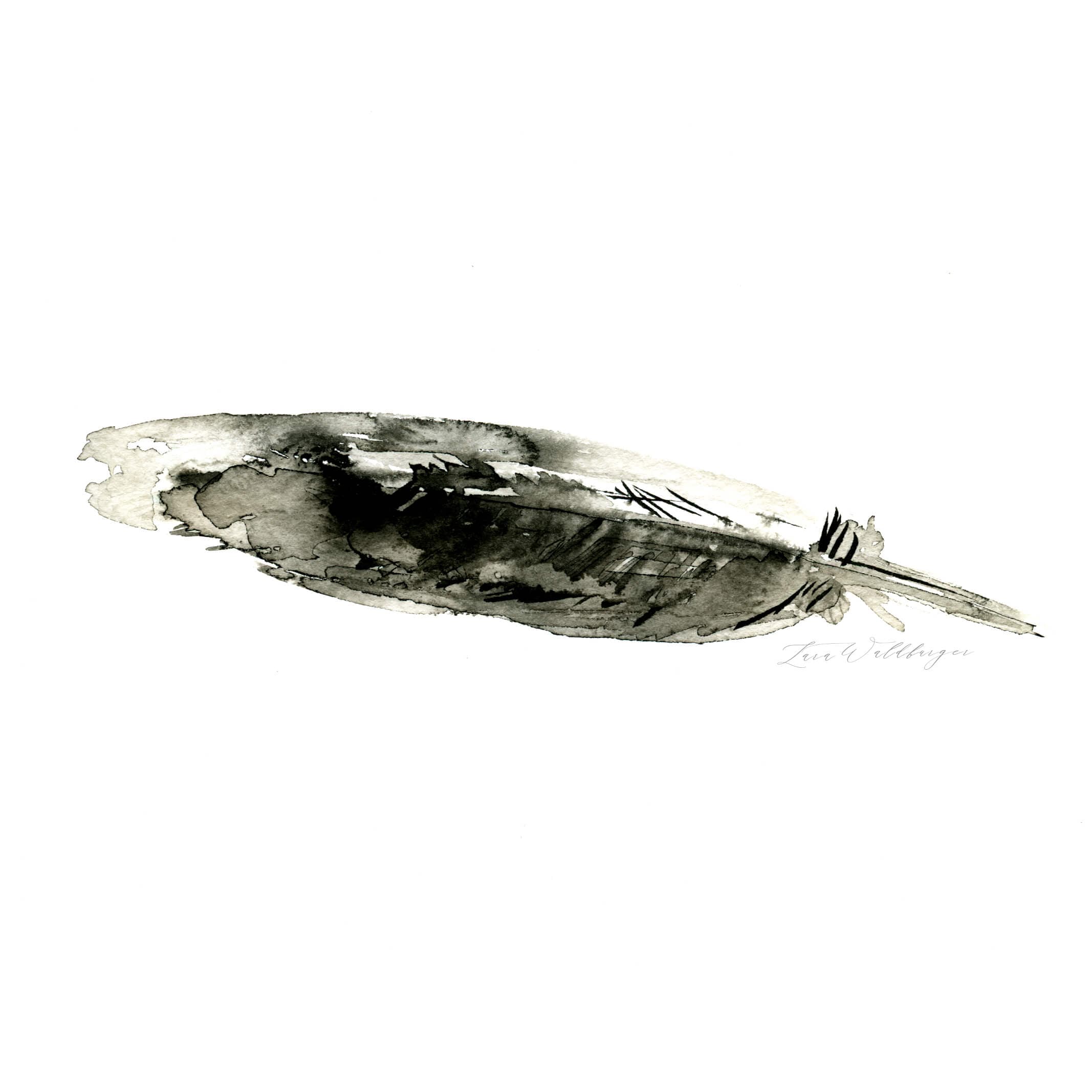 Light from the Darkness: Feather No 2