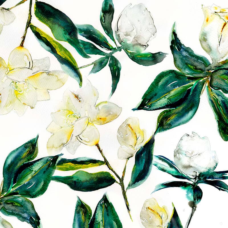 Magnolia Collection in Yellow