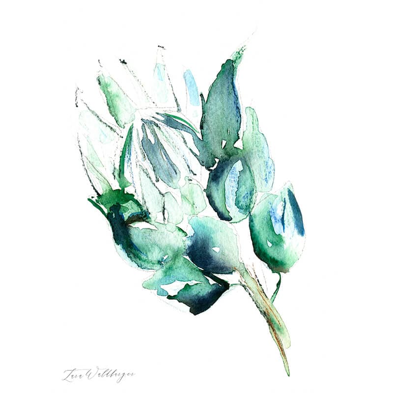 Protea in Green no 1