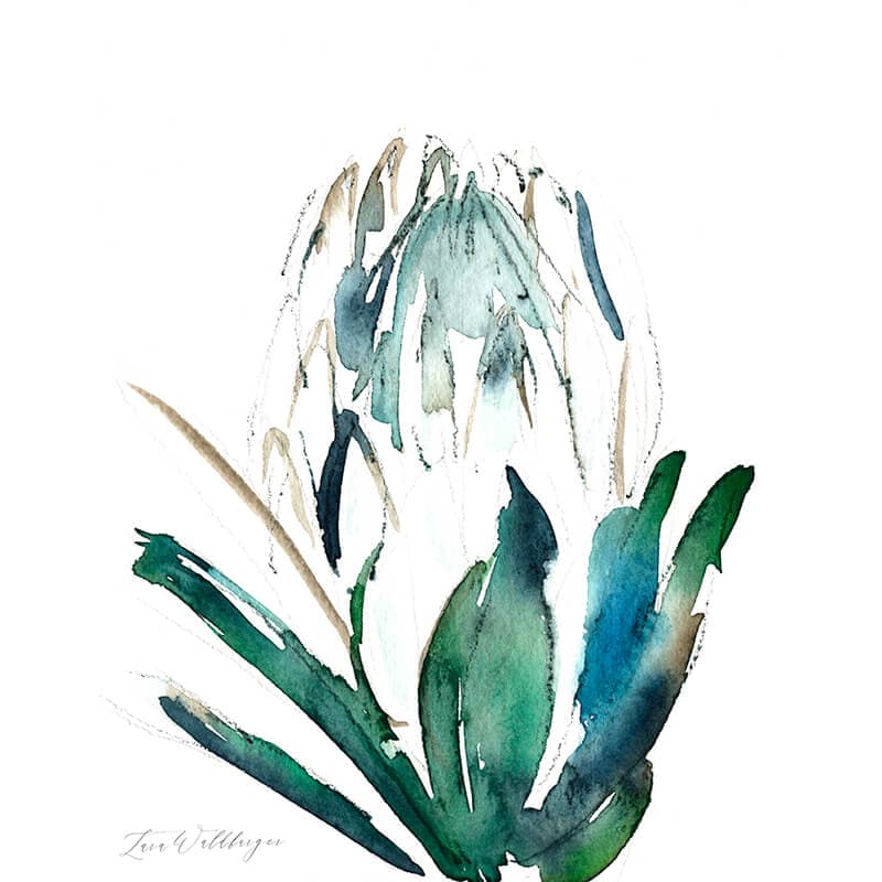 Protea in Green no 2