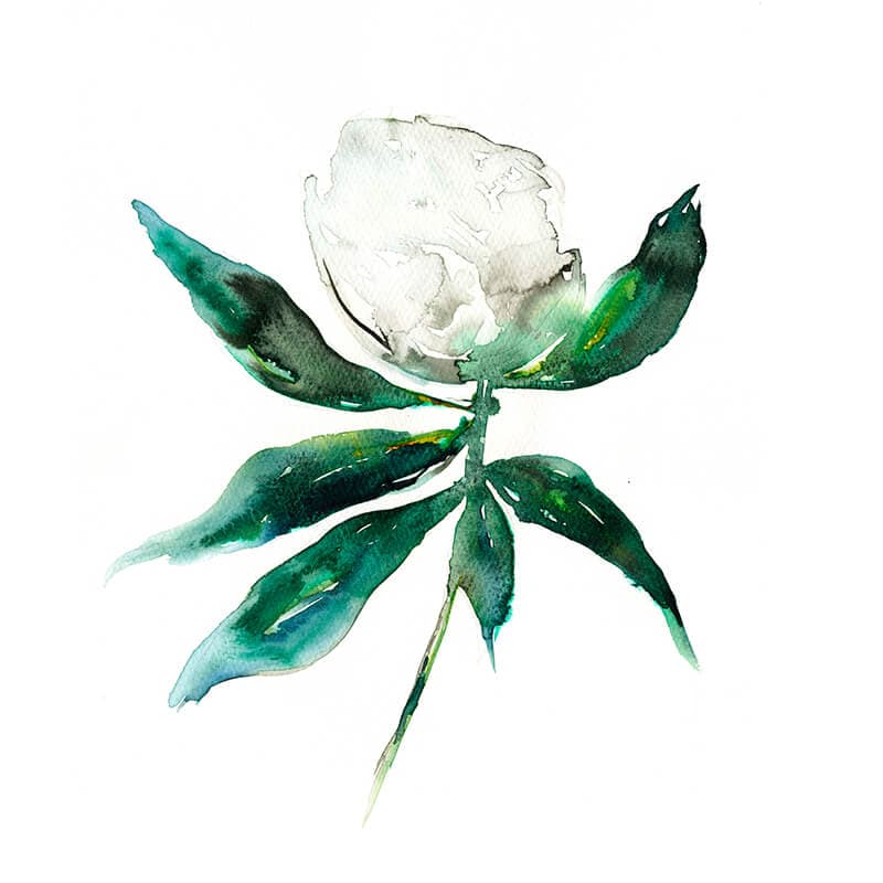 Magnolia Bud in Mint