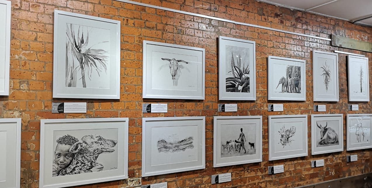 Framed monochrome artworks hung on a brick gallery wall